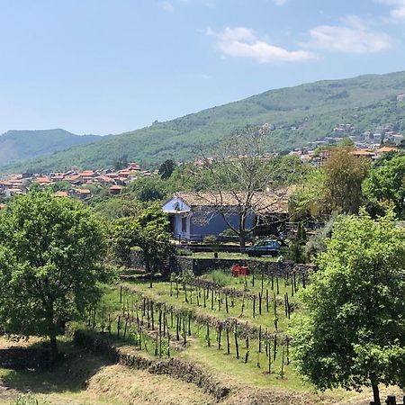 Alberto'S Mt.Etna B&B Zafferana Etnea Exterior foto