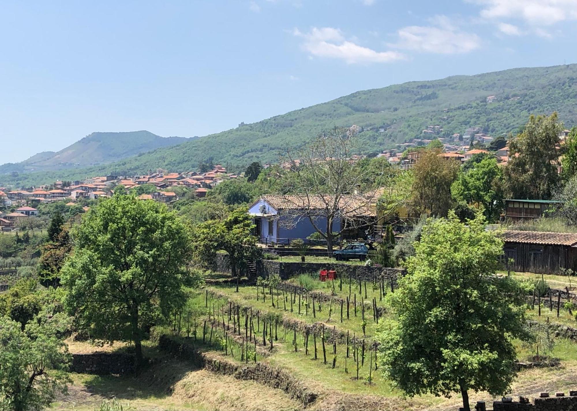 Alberto'S Mt.Etna B&B Zafferana Etnea Exterior foto