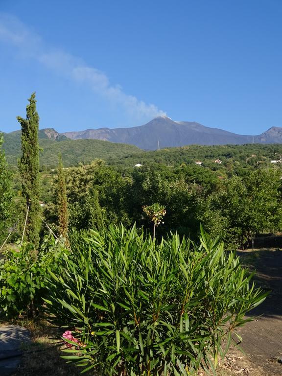 Alberto'S Mt.Etna B&B Zafferana Etnea Exterior foto