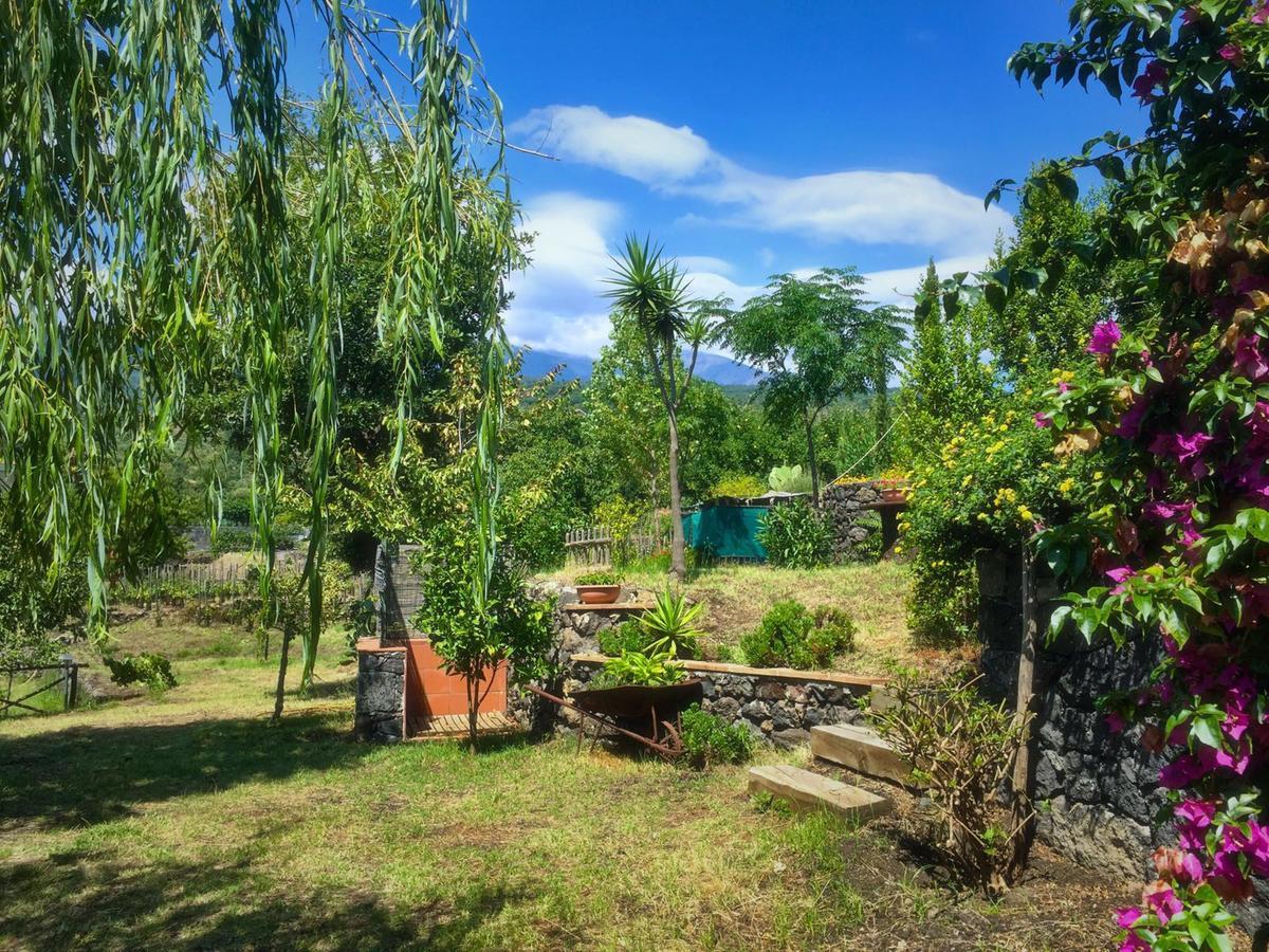 Alberto'S Mt.Etna B&B Zafferana Etnea Exterior foto