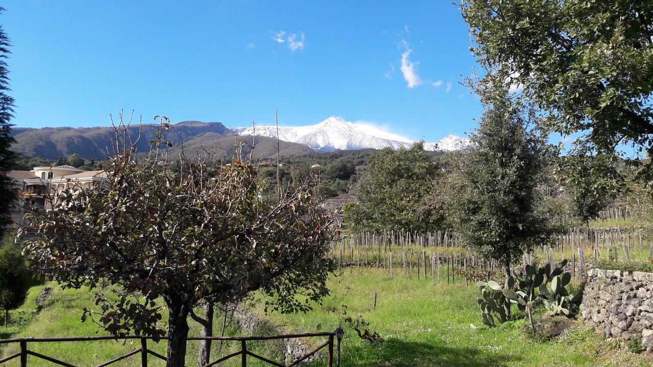 Alberto'S Mt.Etna B&B Zafferana Etnea Exterior foto