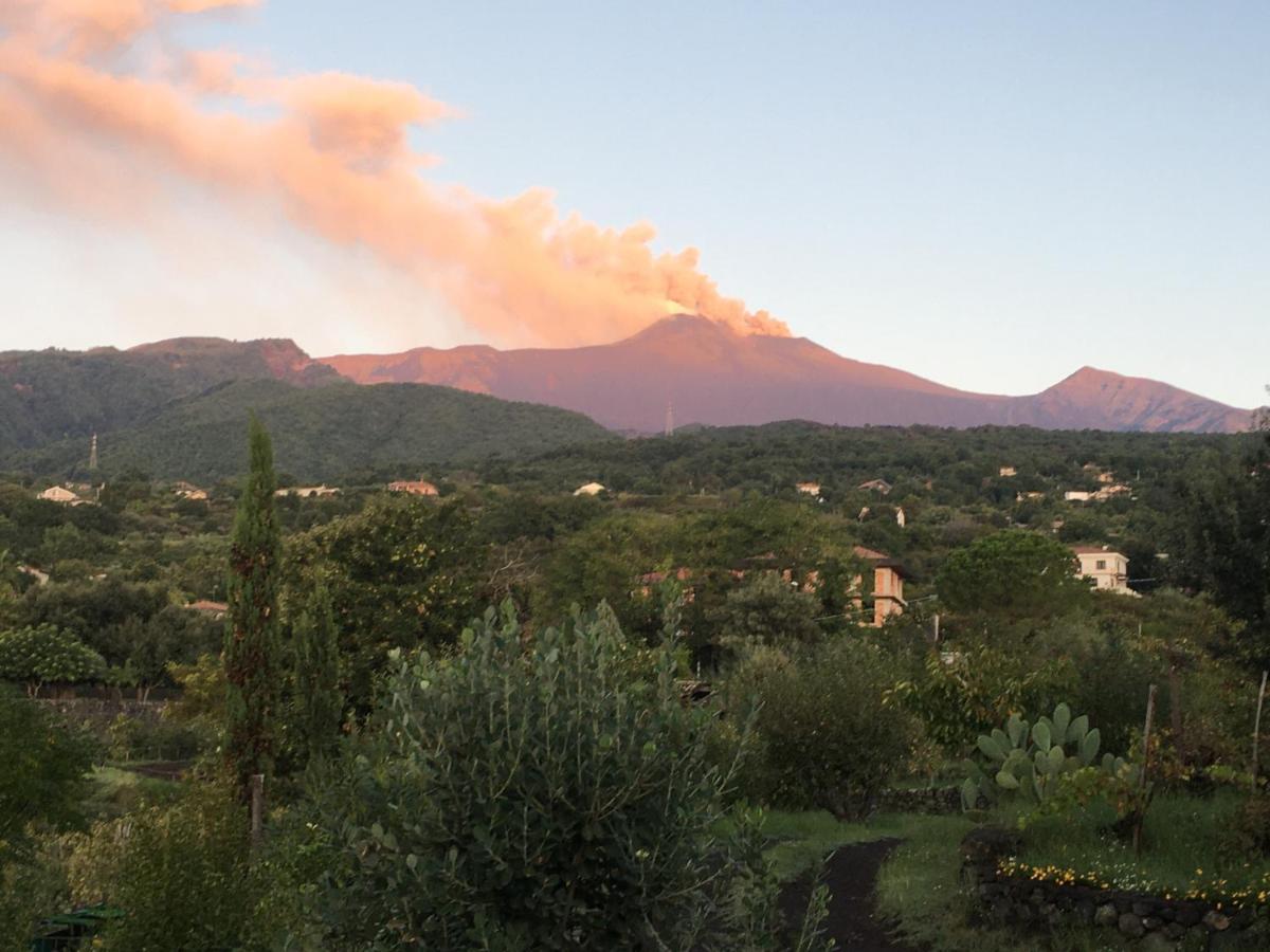 Alberto'S Mt.Etna B&B Zafferana Etnea Exterior foto