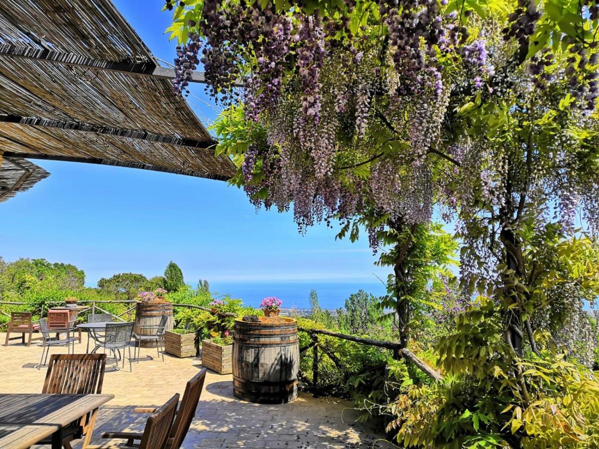 Alberto'S Mt.Etna B&B Zafferana Etnea Exterior foto